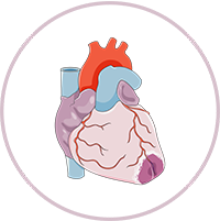 Vücut kitle indeksi